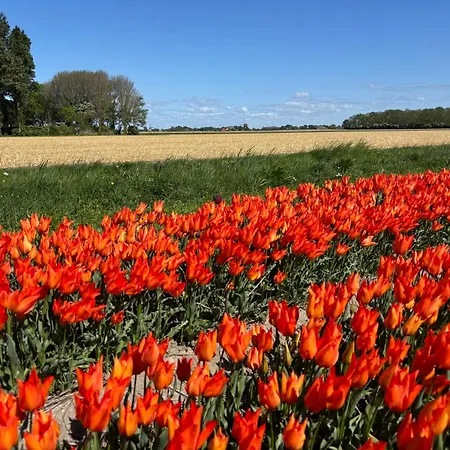 Διαμέρισμα Era Nova 't Zand