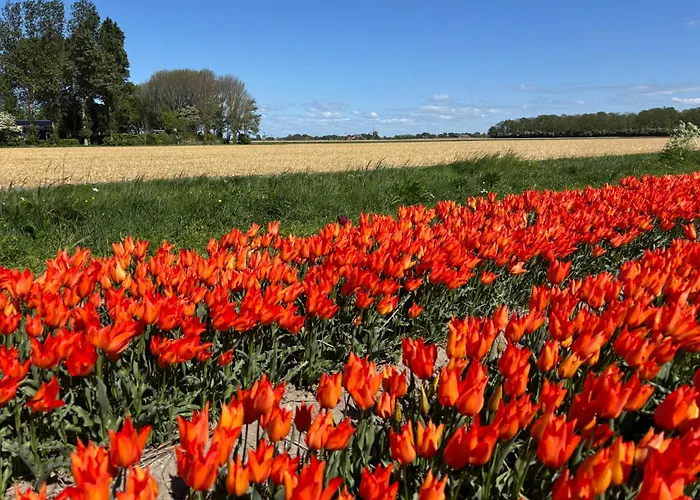 Appartement Era Nova 't Zand